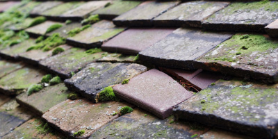 Edwinstowe roof repair costs